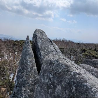 惜しいイルカ🐬😅