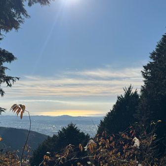 見晴茶屋からの景色
相模湾がキラキラ✨