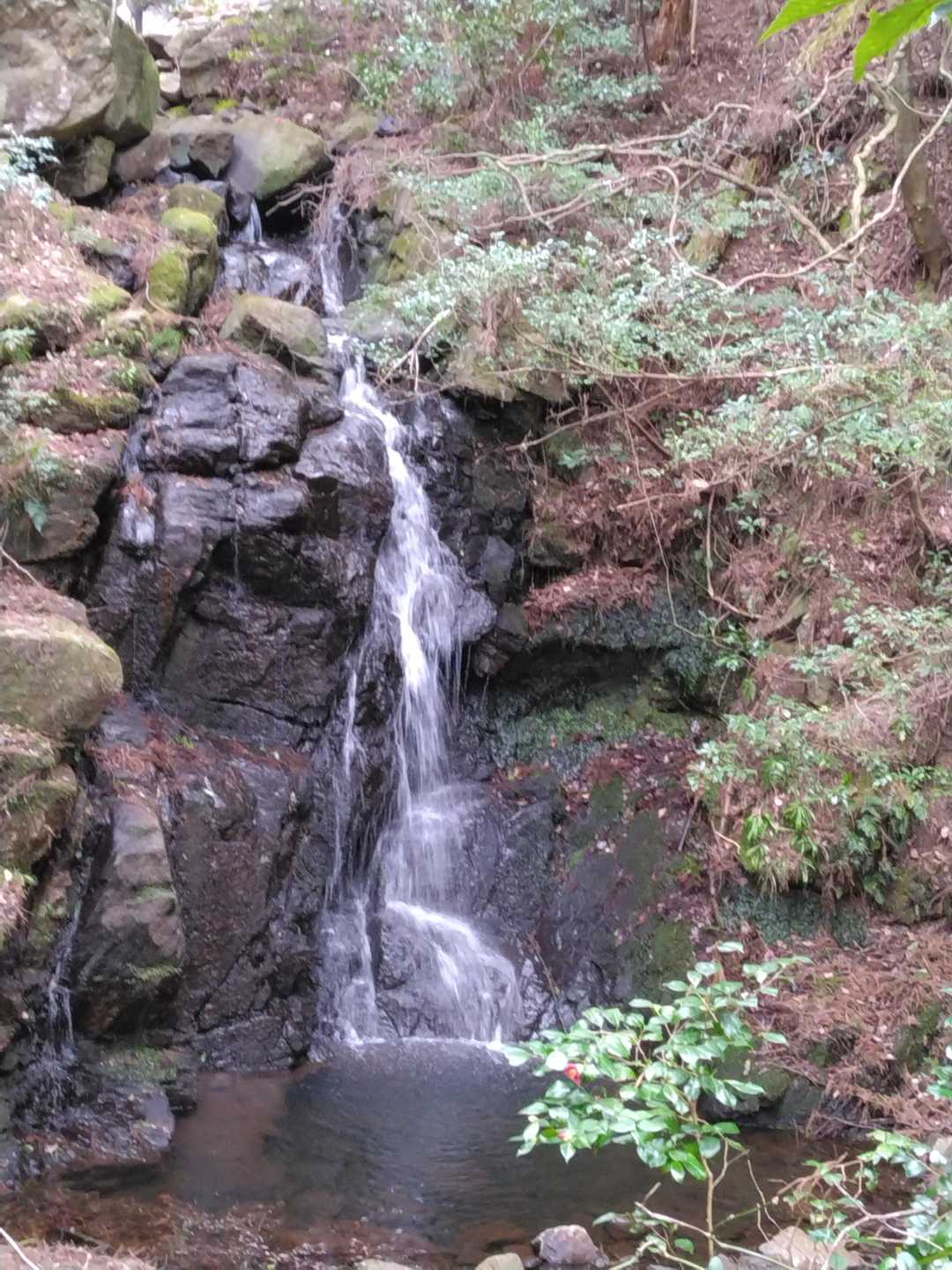 笠原富士 周回コースの写真