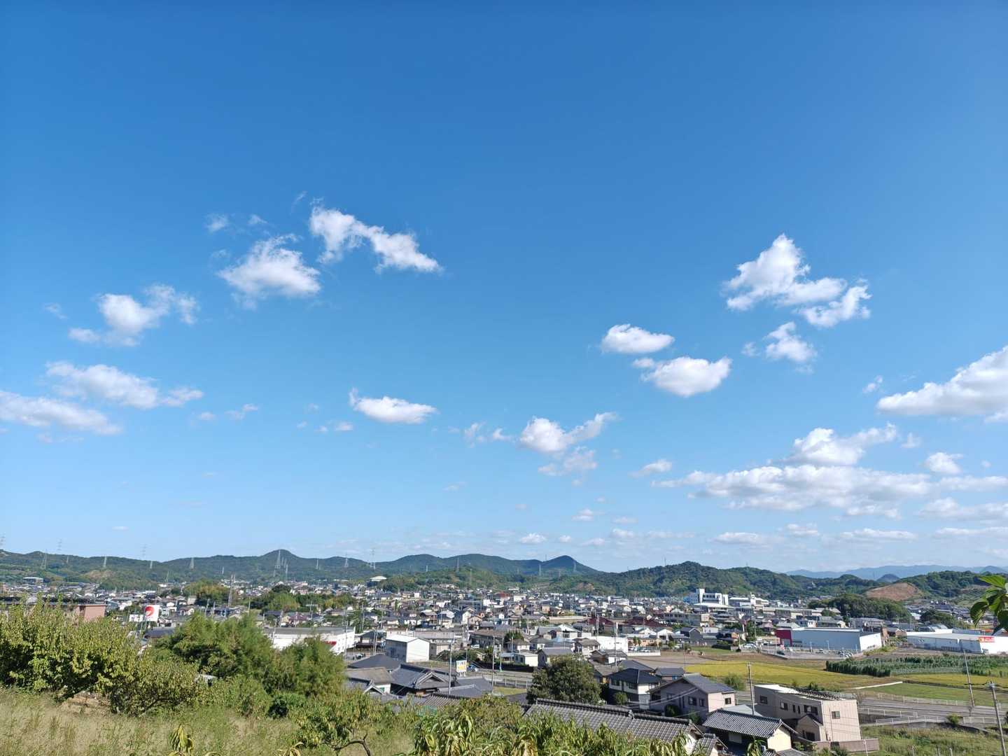 飯山町登山口-飯野山 往復コースの写真