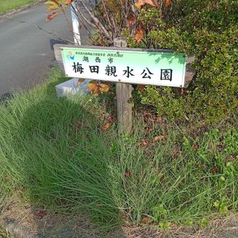 …ってことは…