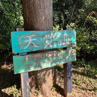 着いた