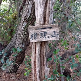 権現山の山名板