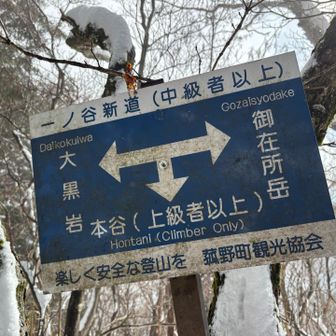 いつもの看板🪧