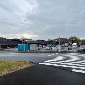 花活終了！曇天すなわち花日和。久々に堪能した。