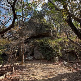 大岩。。。そのままだった。