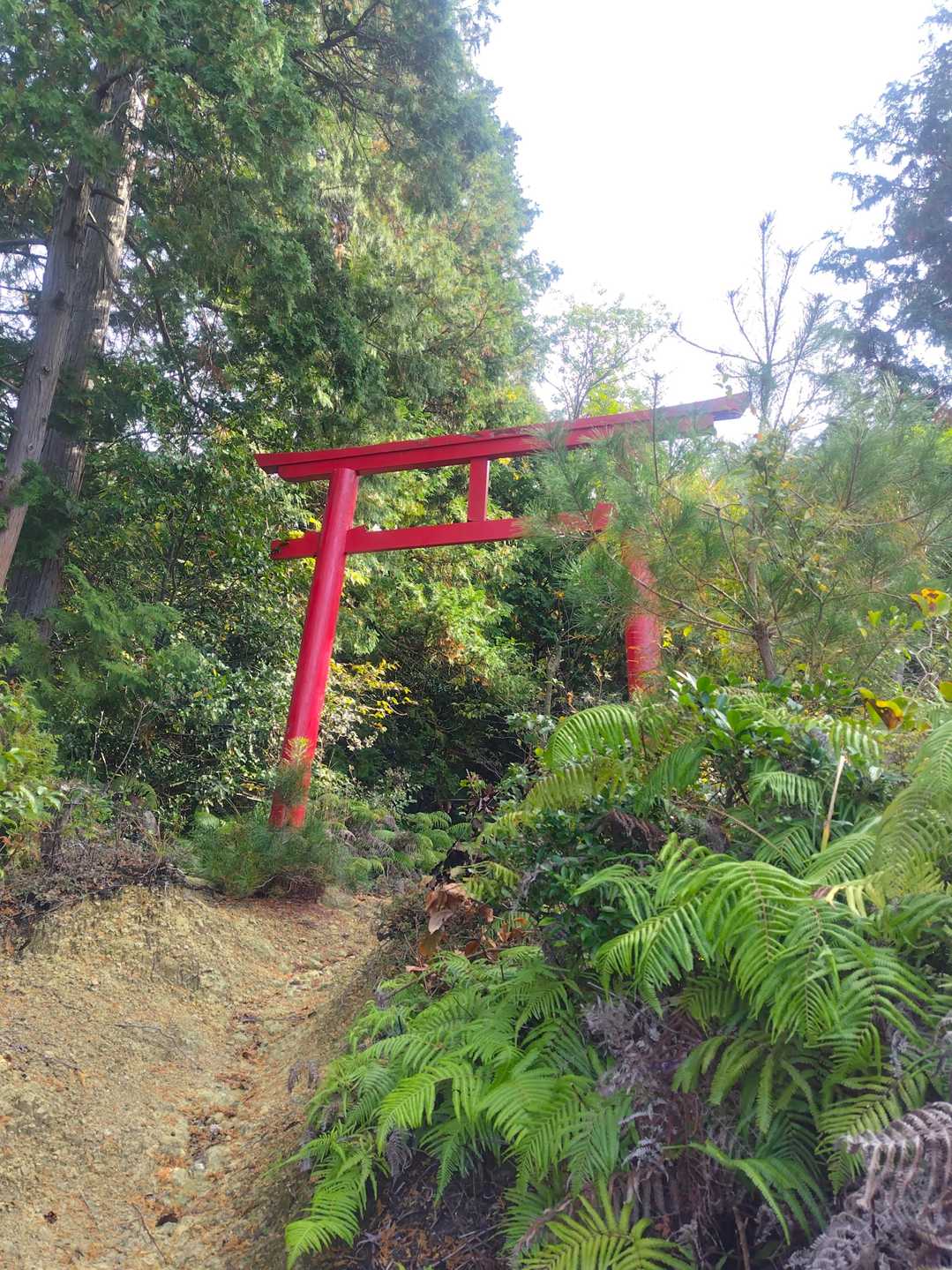 鳥居発見⛩
なかなかいい感じ👍