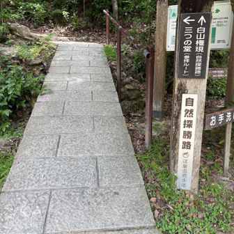 摩尼殿の脇道に降りてきた