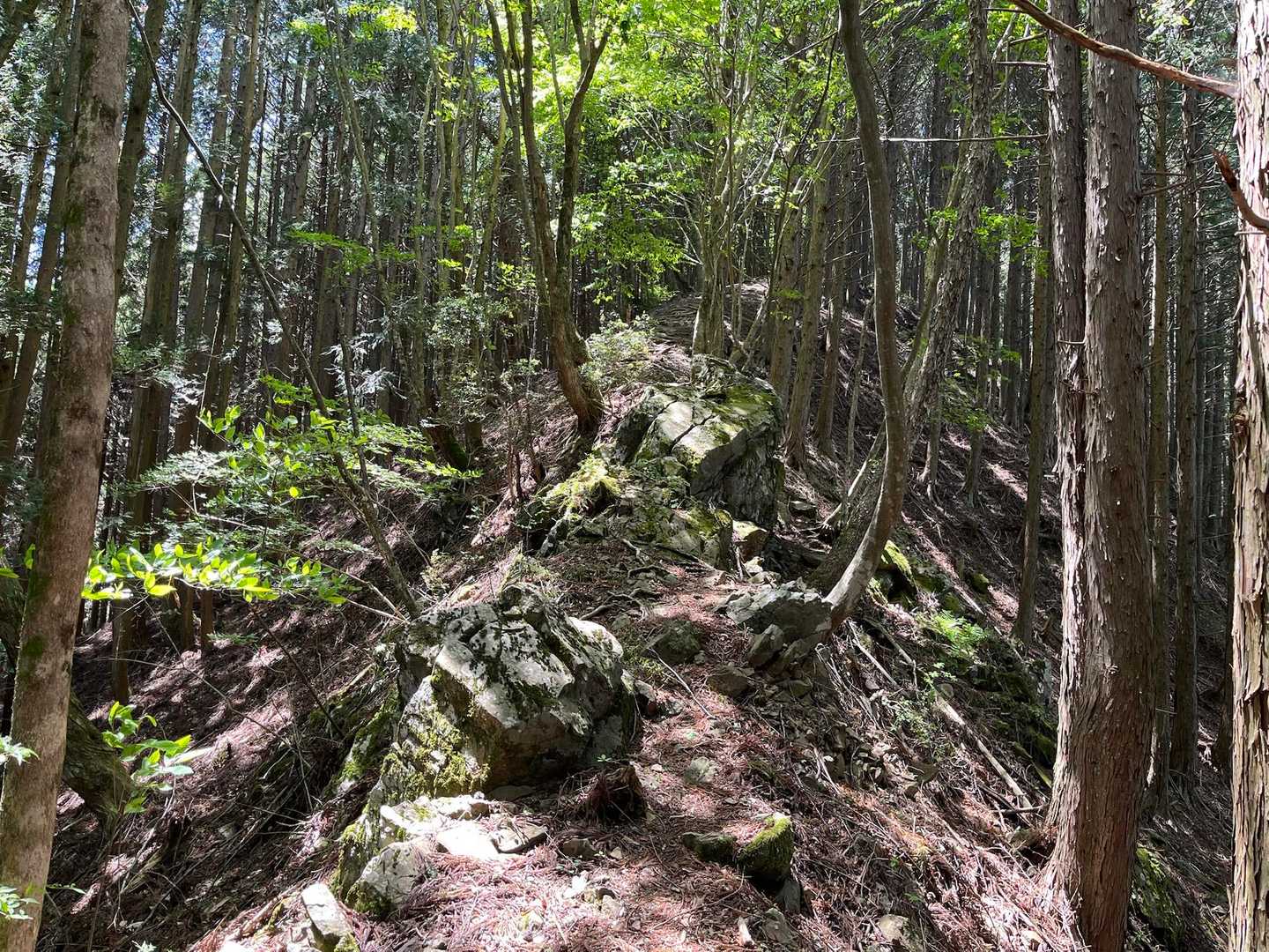 岩々な所もあり