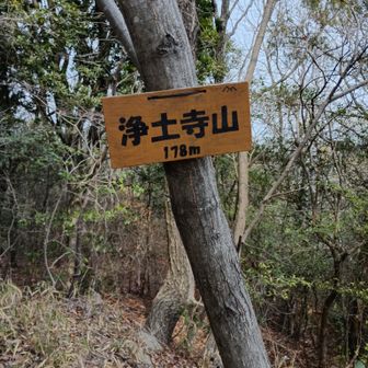 浄土寺山イタダキました🌸