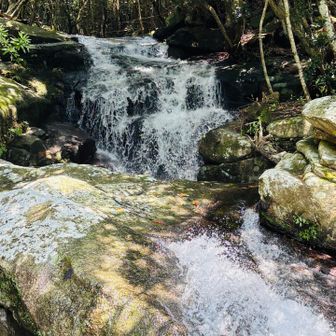 頂山からの濁流が滝の様です