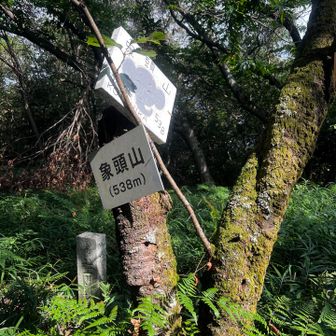 象頭山　かわいい