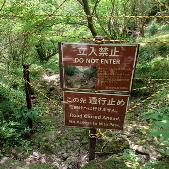 行かないで！！