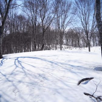 山毛欅尾山山頂は台地状で見晴らしが良い
素敵な場所だけど、もうこんな平坦なトコも歩きたくない😂