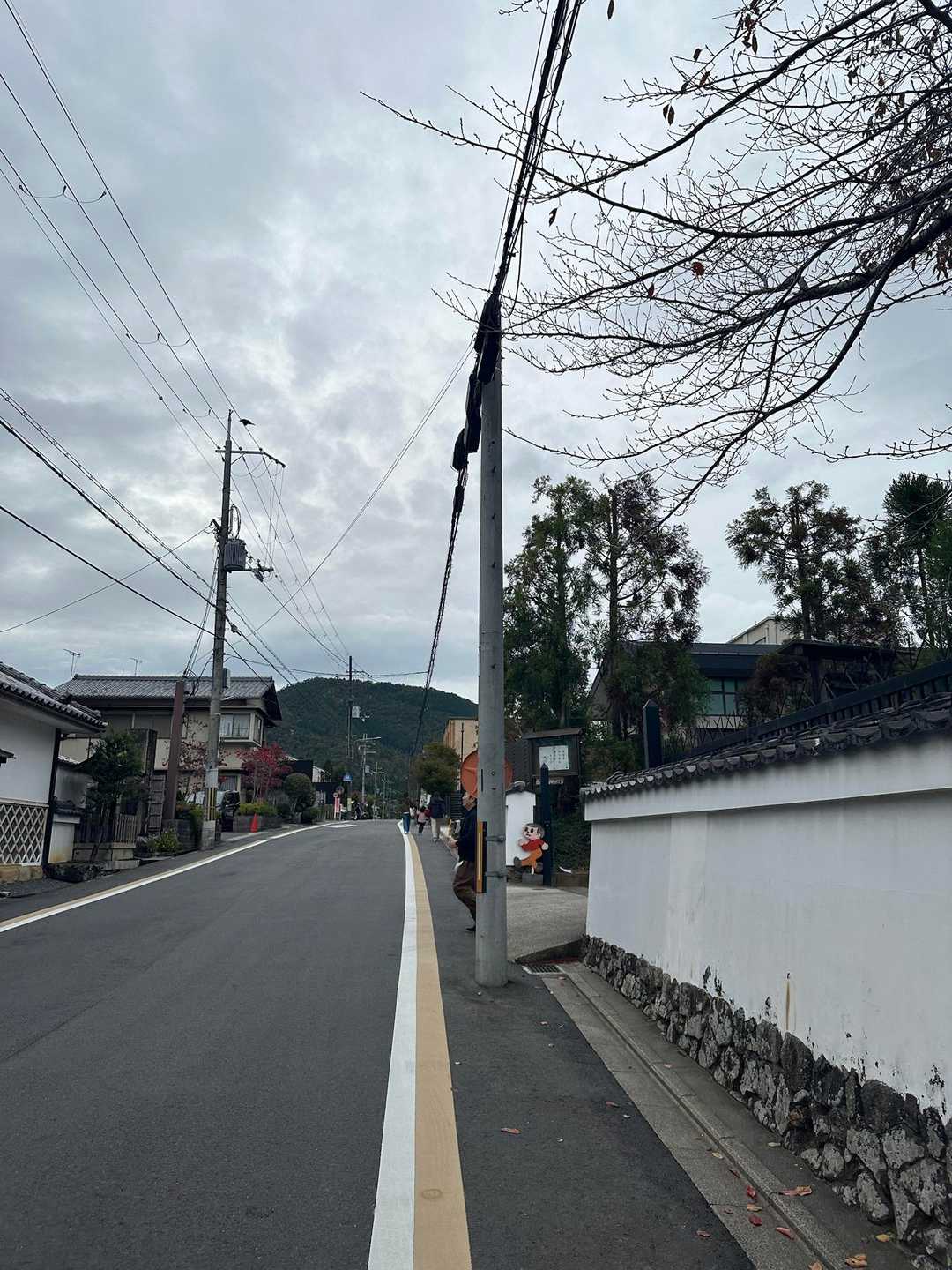 京の街は右見ても左見てもお寺