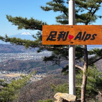 松の間に浅間山🏔️