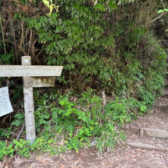 景信山への登山口です　ここから1時間くらいで山頂です⛰️  登りはじめは中央道の車の音がよく聞こえます　小仏トンネルは今日も渋滞しているのでしょうか🚙🚌🚚🚐🚗