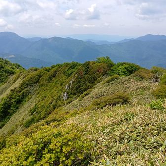 男山を振り返る
