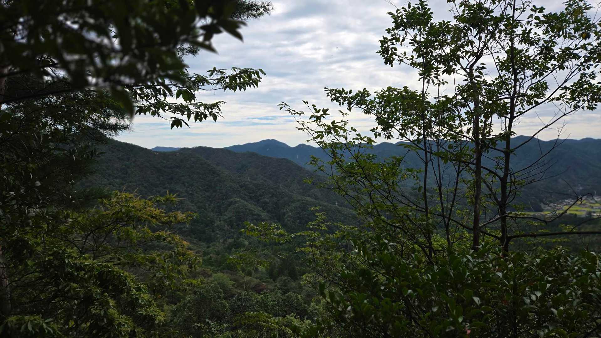三倉岳-瓦小屋山-瓦小屋山登り口-Aコース登山口 周回コースの写真