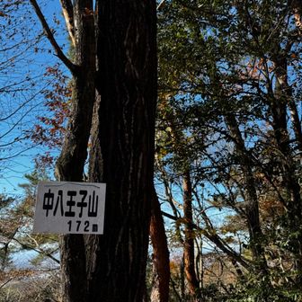 次々とピークをゲット。