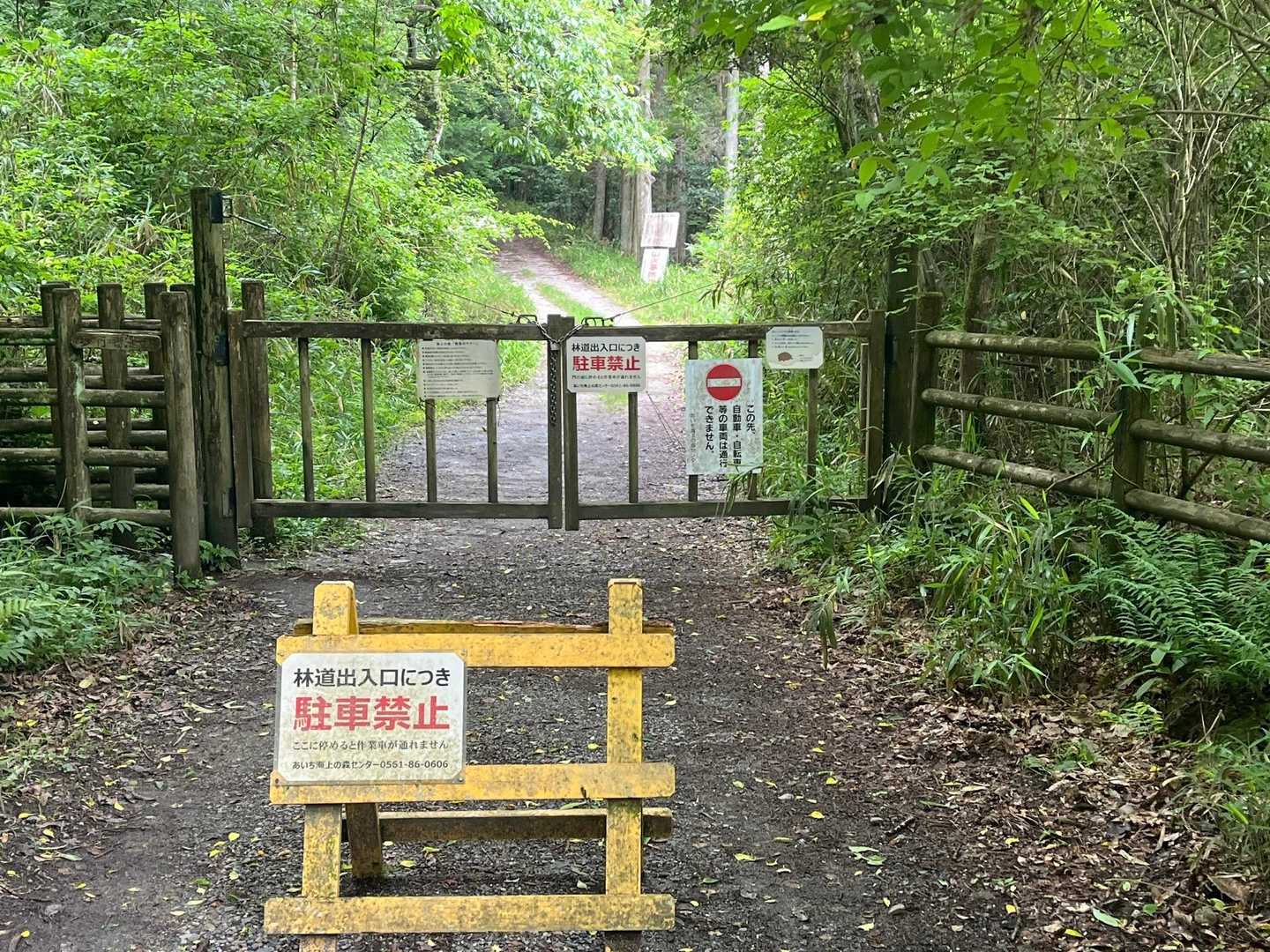 今日は反時計回りで物見山へ💨💨💨