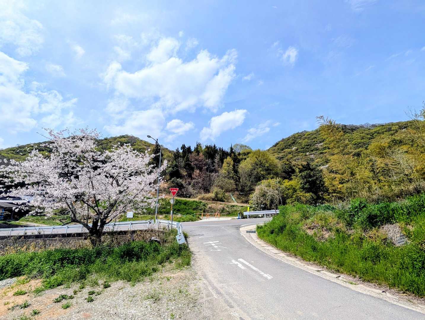 左の峰が小野ヶ原山
右の峰が立石山
（YAMAPの立石山ランドマークは左の小野ヶ原のピーク手前にあるので、YAMAPの地図は間違えてます）
登り始めは疑いもせず、立石山だと思って登り始めましたが、途中から何か変だぞ❓️と予定外に隣の峰を確認しに行ってしっくりきました✌️
これもYAMAPあるあるですね😅
小野ヶ原山と立石山でした✨