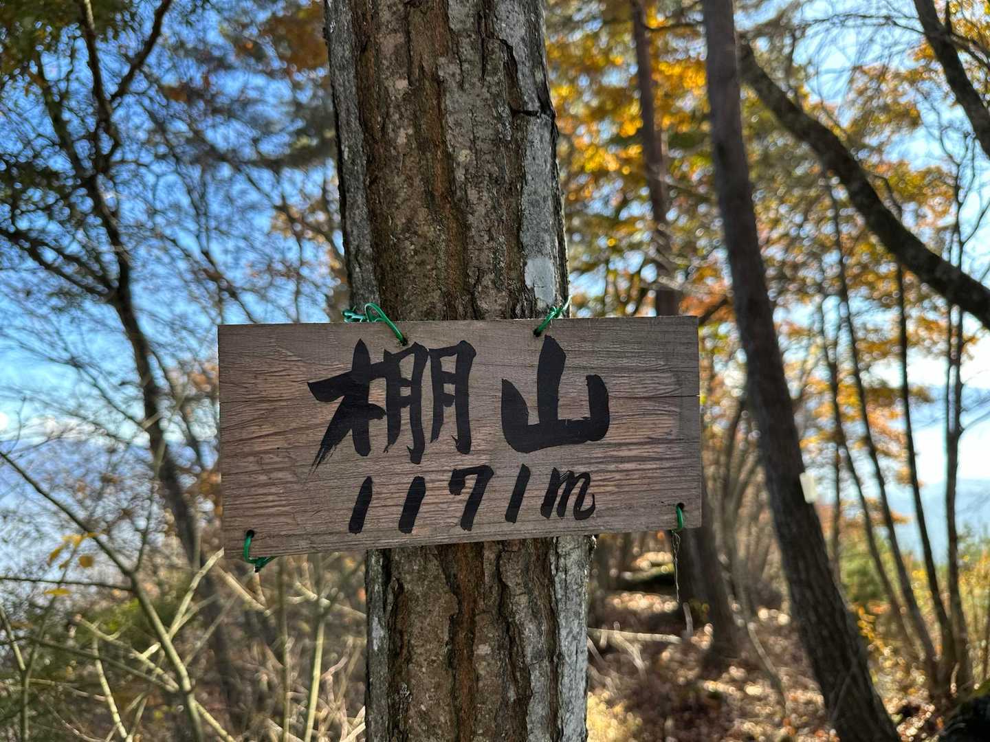 初めまして！今まで中腹までお邪魔してましたが(笑)