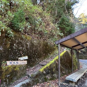 弁天岳に向かいます