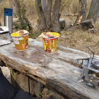 打越山南側のポイントから　直線で歩けそうな藪中ルートを　紙地図とコンパスだけで見つけ出し　そこから登山道は無視してほぼ直線で打越山へ駆け上がる（這い上がる？）。

やっとこさ　打越山ポイントで遅めのランチ。
なかなかハードです。
お腹ペコペコだけど　ずっと藪中なので火は使えず　ここまでガマン。
食いしん坊カヨ隊長にはさぞかし辛かったことでしょう。

でもおもしろい　この山行。
このやりかた　広めてもぃぃかもね。