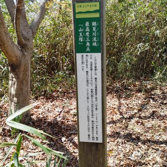 流域の最高地点らしい