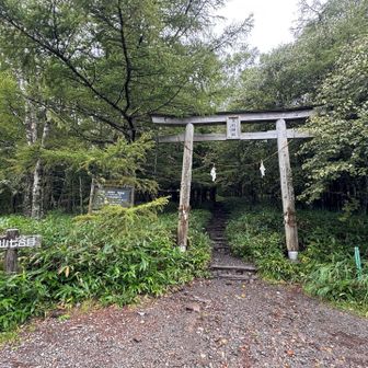 七合目鳥居到着
ゴンドラ運行してますように…