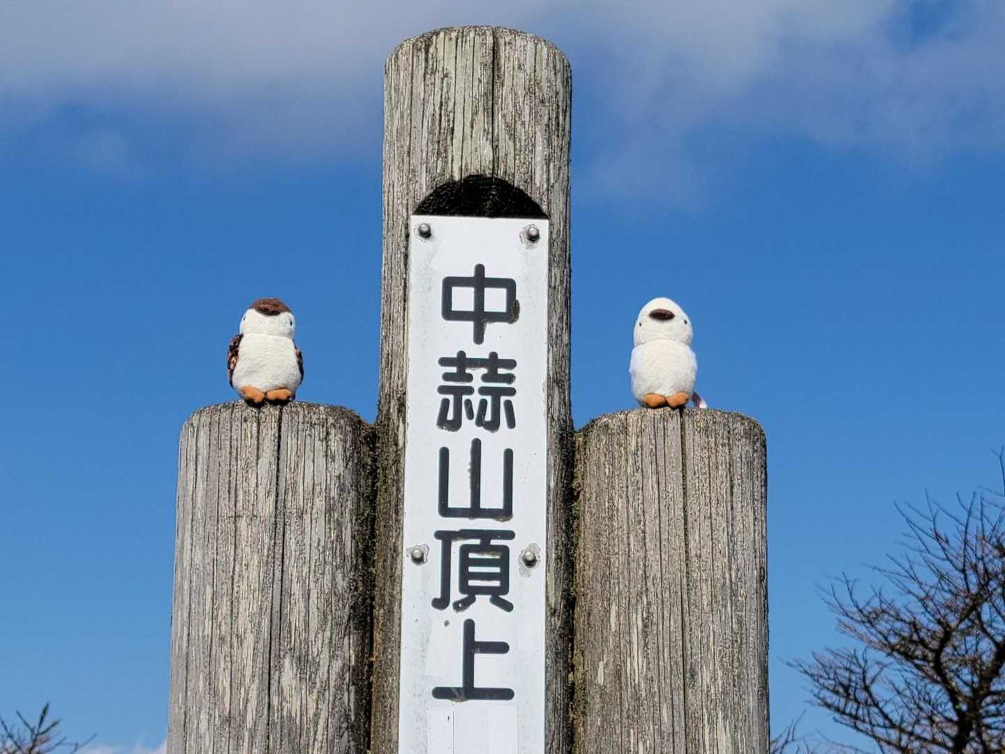 上蒜山登山口-槍ヶ峰-上蒜山-中蒜山-日留神社-中蒜山登山 縦走コースの写真