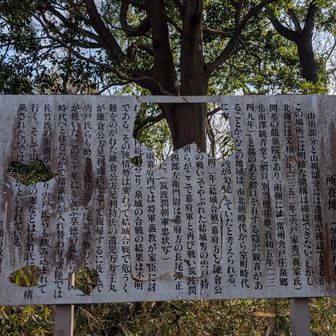 放置されて久しい様です