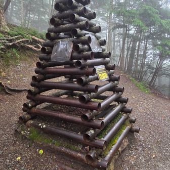 杖立峠　ここからは歩きやすい