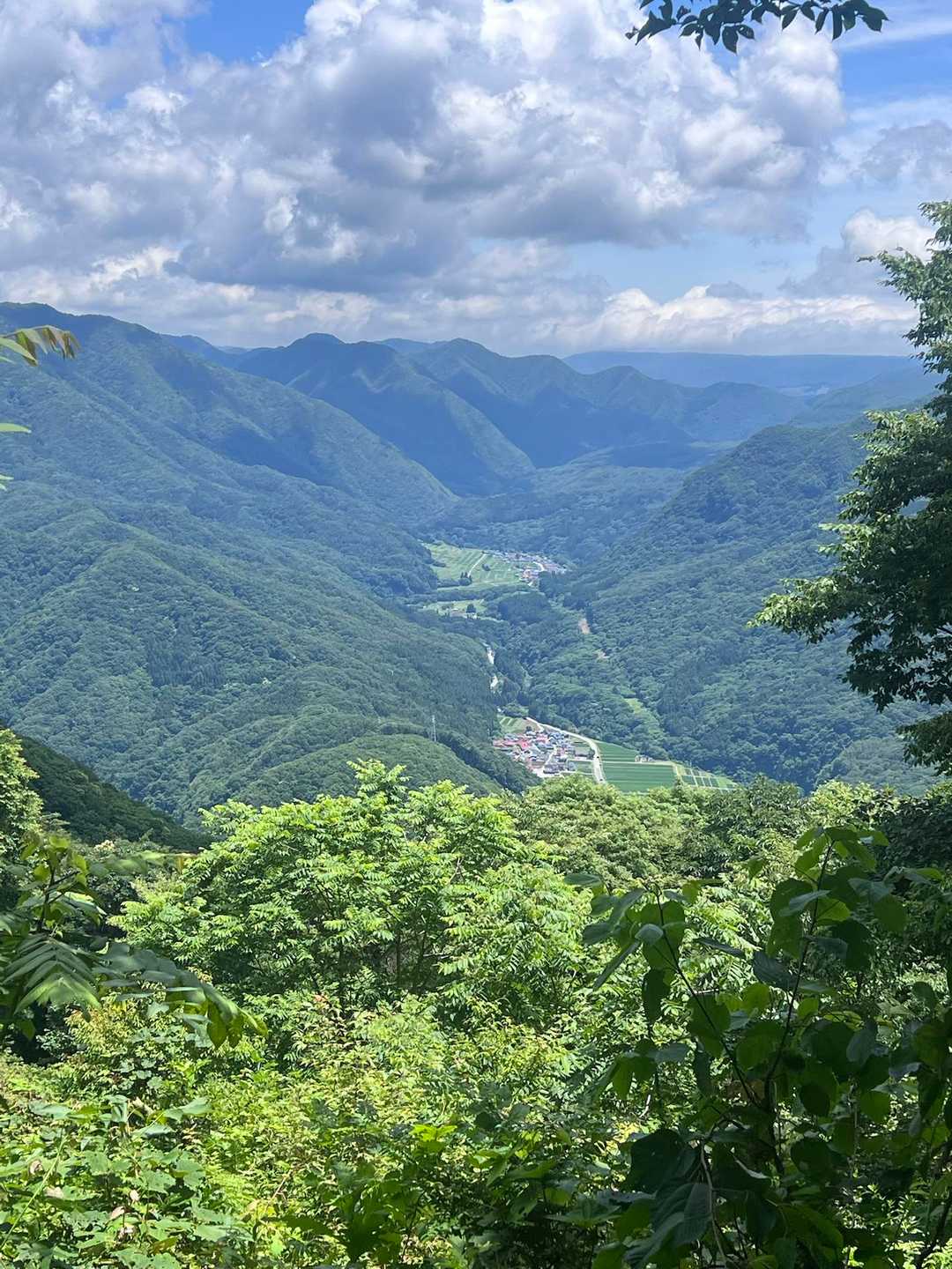 小野岳 往復コースの写真