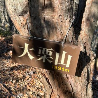 大栗山にも寄りました。ピークを迎えるたびにアップダウンがありました。