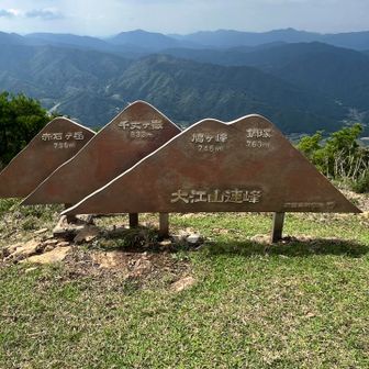 すぐに鳩ヶ峰に到着。宮津湾も見えます。
日記でよく見るやつです。