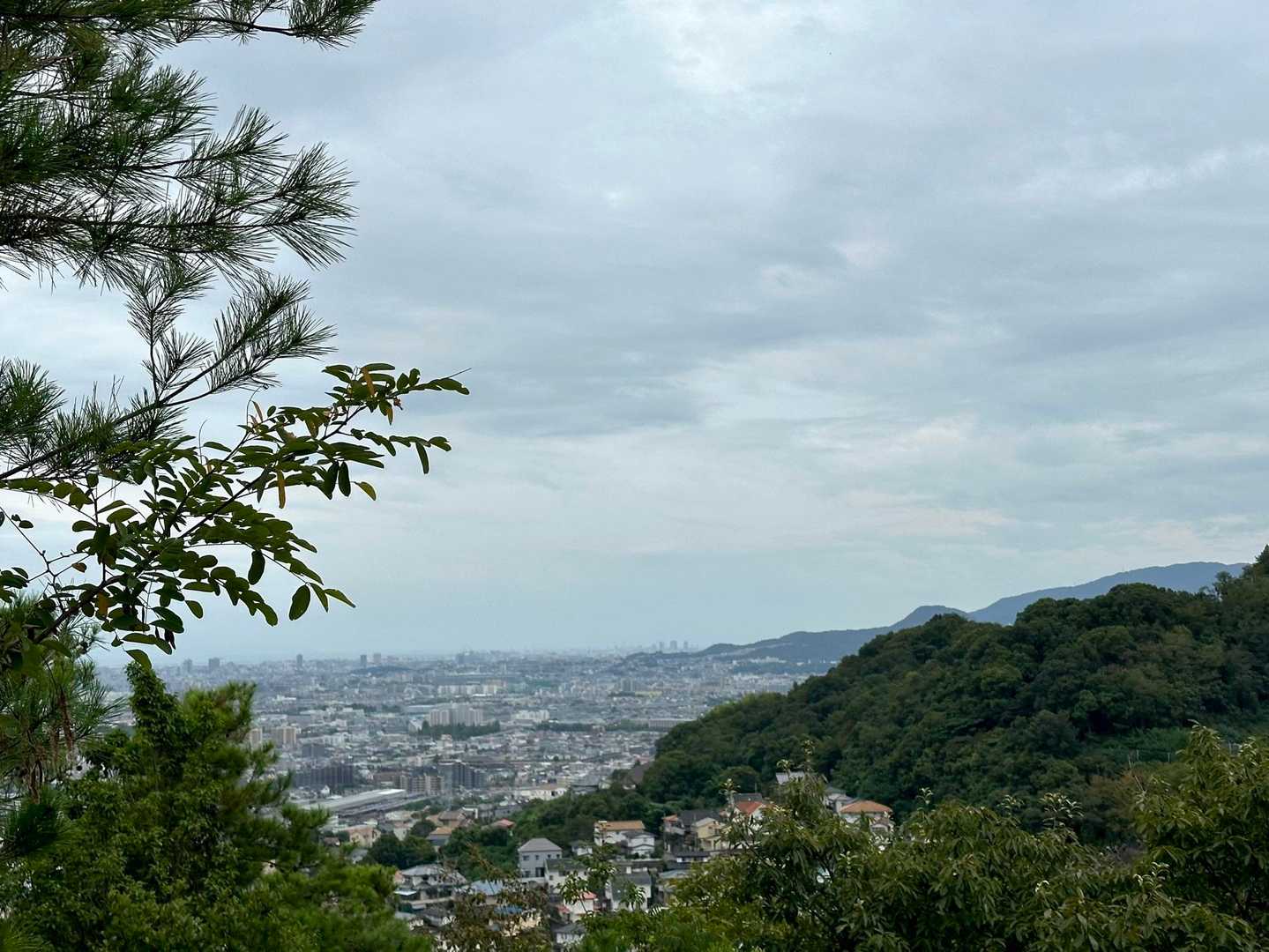 良き良き😊👍