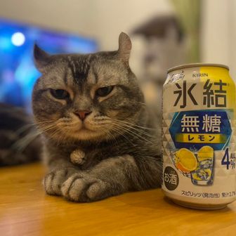 デブって言うな