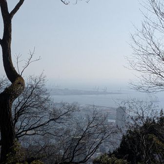 景色はボンヤリ😅
今日は団体さんがたくさんのぼってこられました。