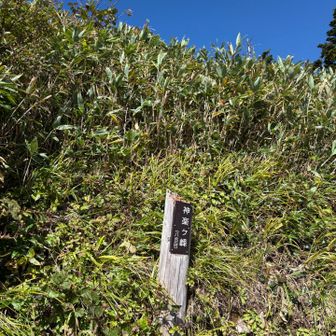 見過ごしそうな山標、神楽ヶ峰