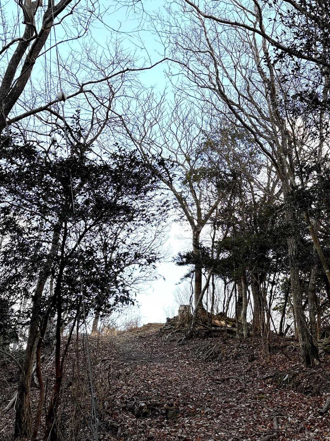 山頂直下