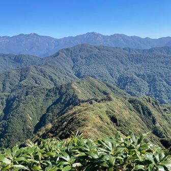 奥に白山連峰、手前には赤兎山、そこに繋がる大舟山の稜線🤤このルートはもう藪々なんだろうなー😅