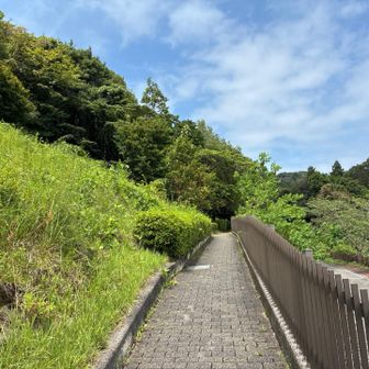 金沢自然動物園は開けていて気持ち良い👍