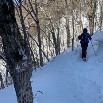 山頂行きましょう〜