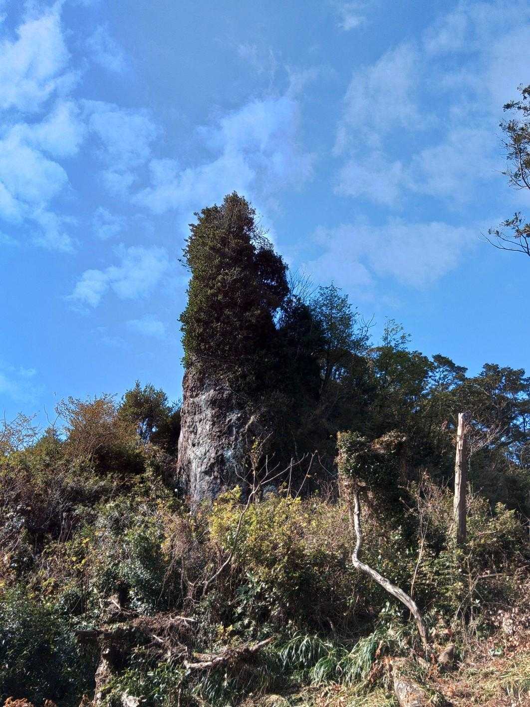 鬼門平 往復コースの写真