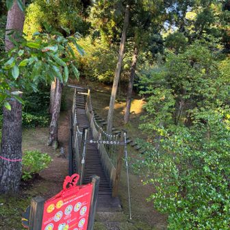 子供は喜びそうな吊り橋
流石におっさんが渡って遊んでたら事案か…