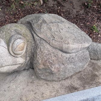 ありがとう、カメさん。