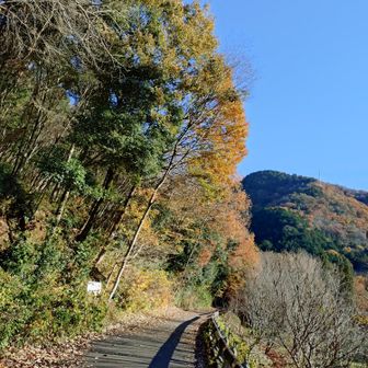 日だまりはあったか～