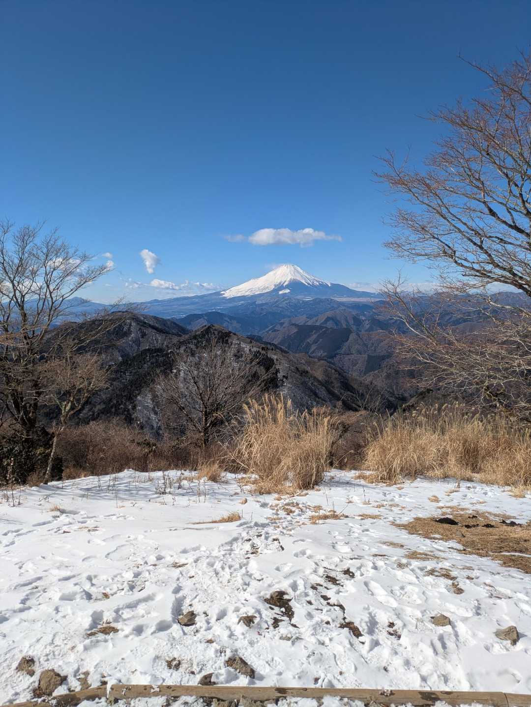 寄バス停-櫟山-栗ノ木洞-後沢乗越-鍋割山-小丸-花立ノ頭 縦走コースの写真